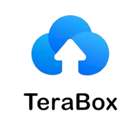 TeraBox Gift Card